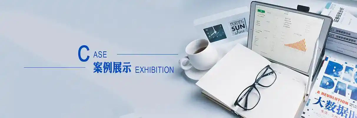 融安县软件开发